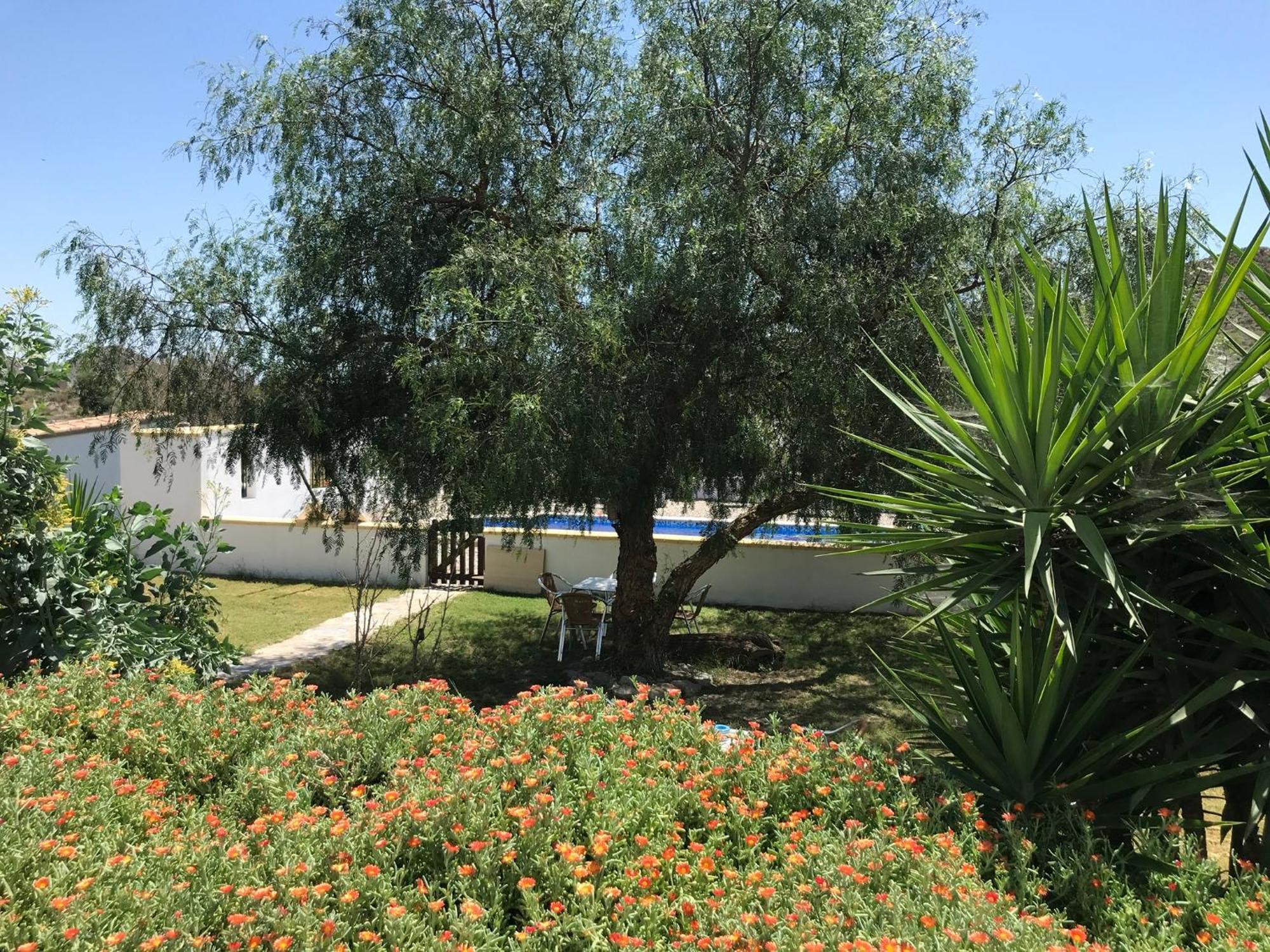 Bella Vista Rural Retreat Lejlighed Arboleas Eksteriør billede