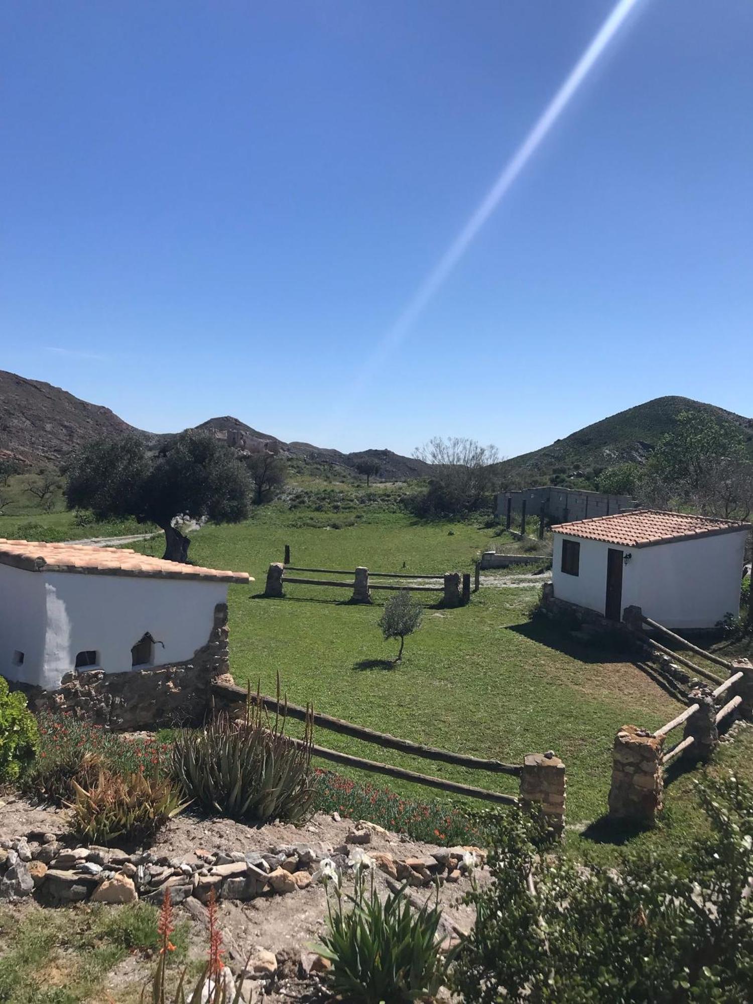 Bella Vista Rural Retreat Lejlighed Arboleas Eksteriør billede